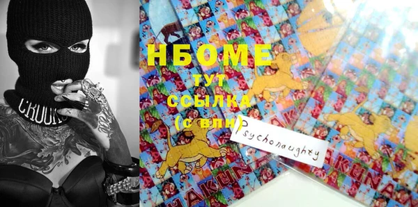 гидра Абаза