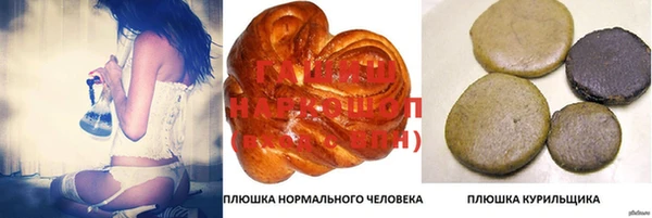гидра Абаза