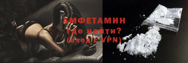 гидра Абаза